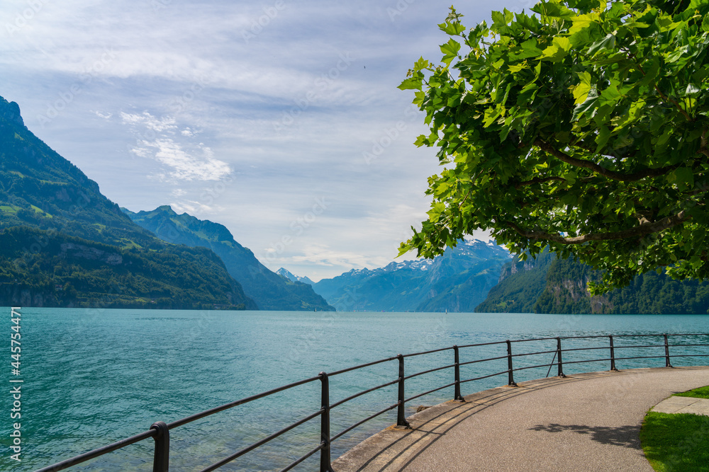 Fototapeta premium view of the lake