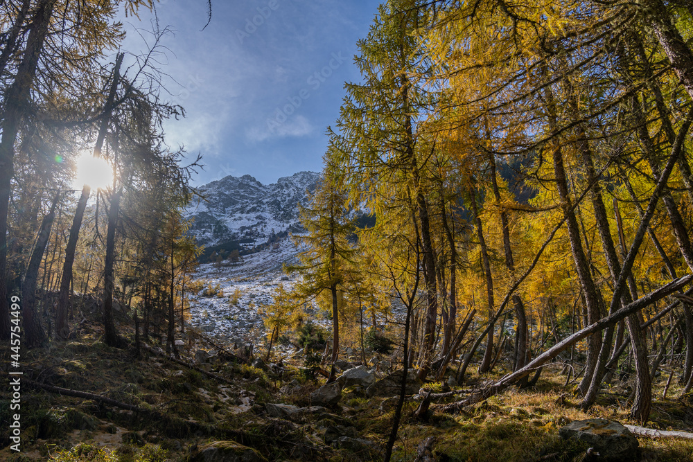 Fototapeta premium Herbst am Palpuognasee