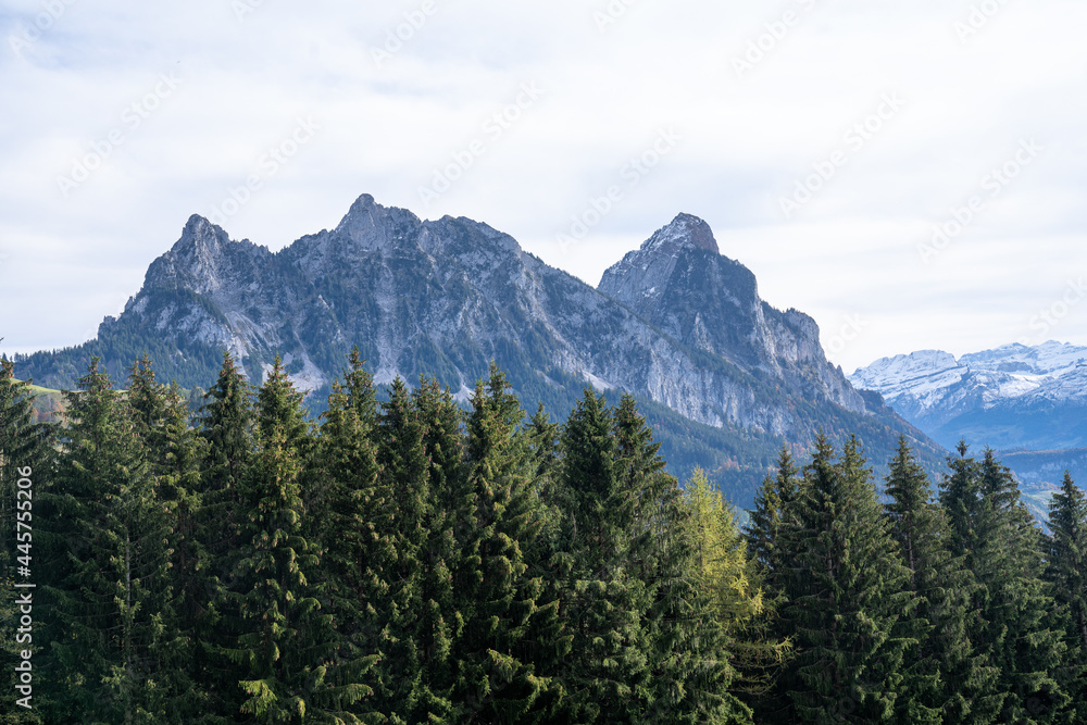 Blick vom Sattel in Richtung Schwyz Blick vom Sattel in Richtung Schwyz