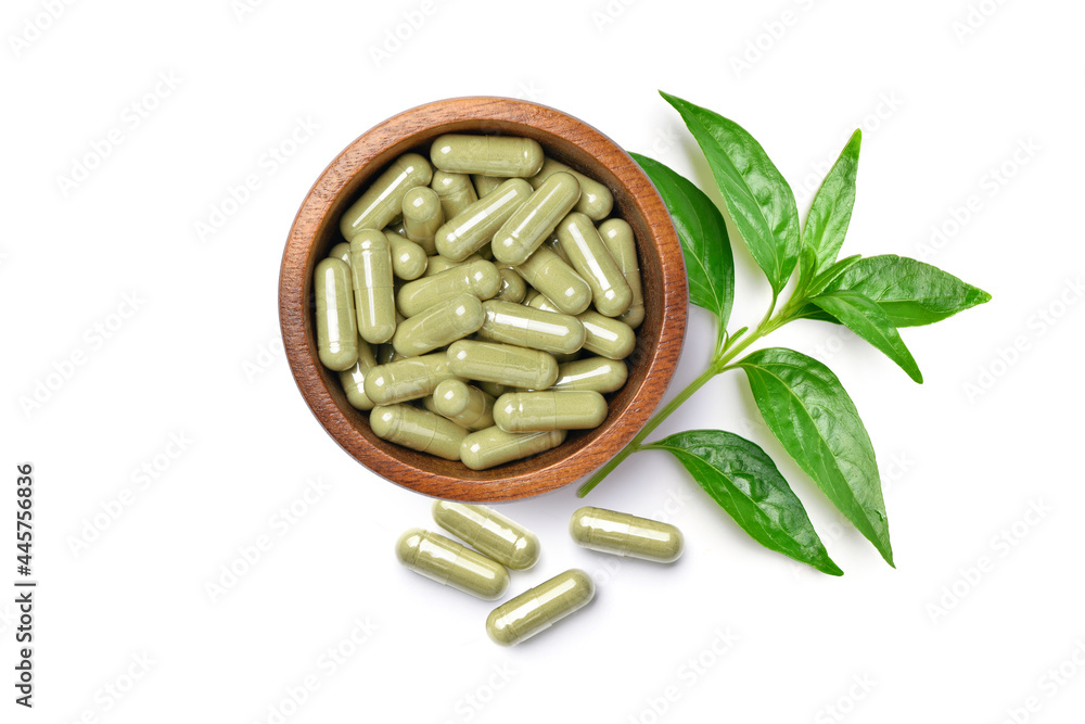 Flat lay of Andrographis paniculata capsules with fresh leaf isolated on white background. Flat lay of Andrographis paniculata capsules with fresh leaf isolated on white background.