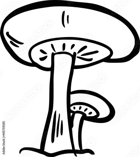 hand draw mushroom