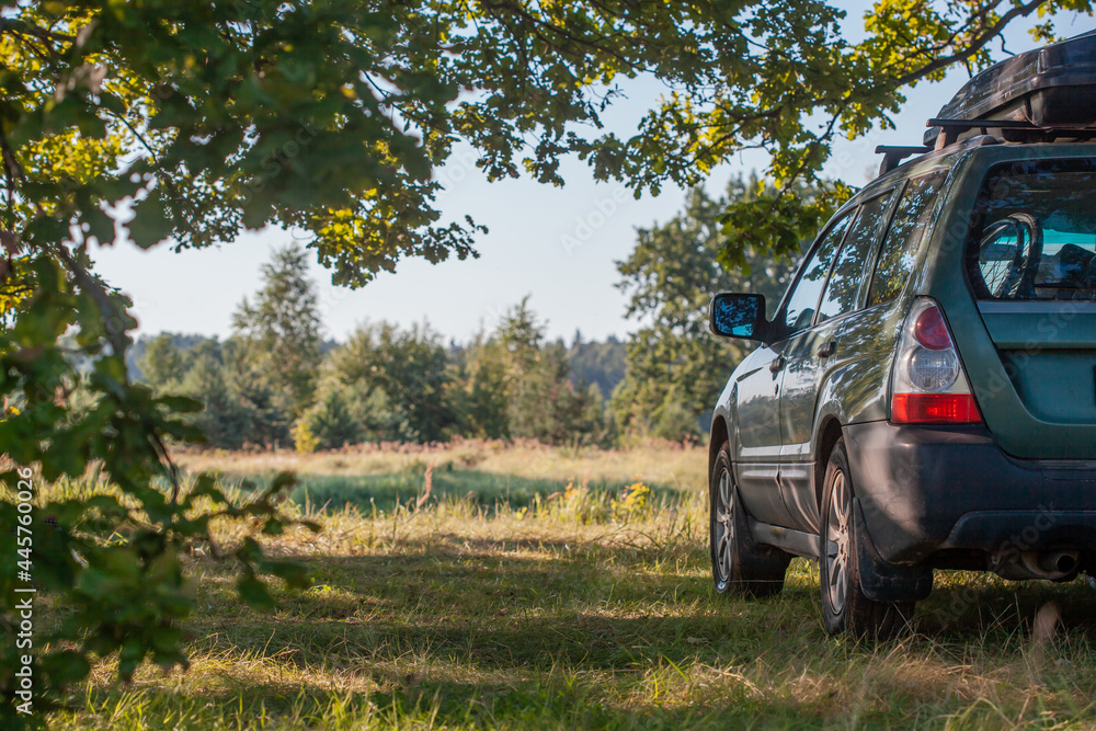 car with a car rack on the roof stands in a clearing in nature under a ...