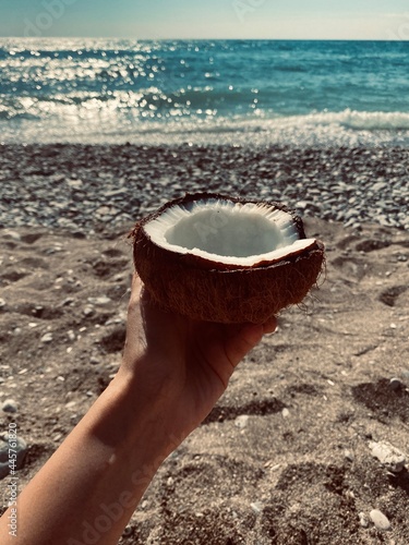 coconut  is on the beach in the hand