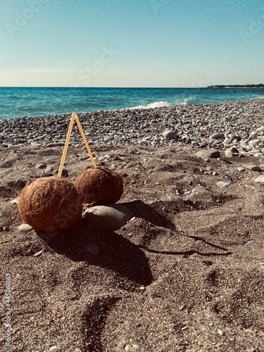coconuts are on the beach near the sea