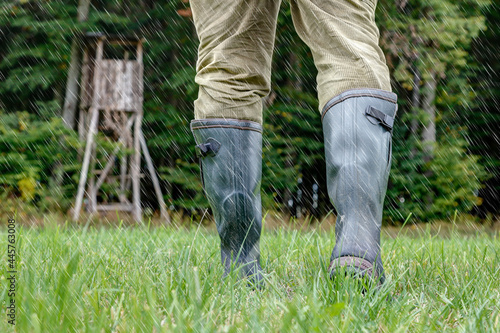 On a rainy day in autumn a hunter walks with his green rubber boots through the meadow to his hunting pulpit which stands at the edge of the forest.......Perspective of black rubber boots.