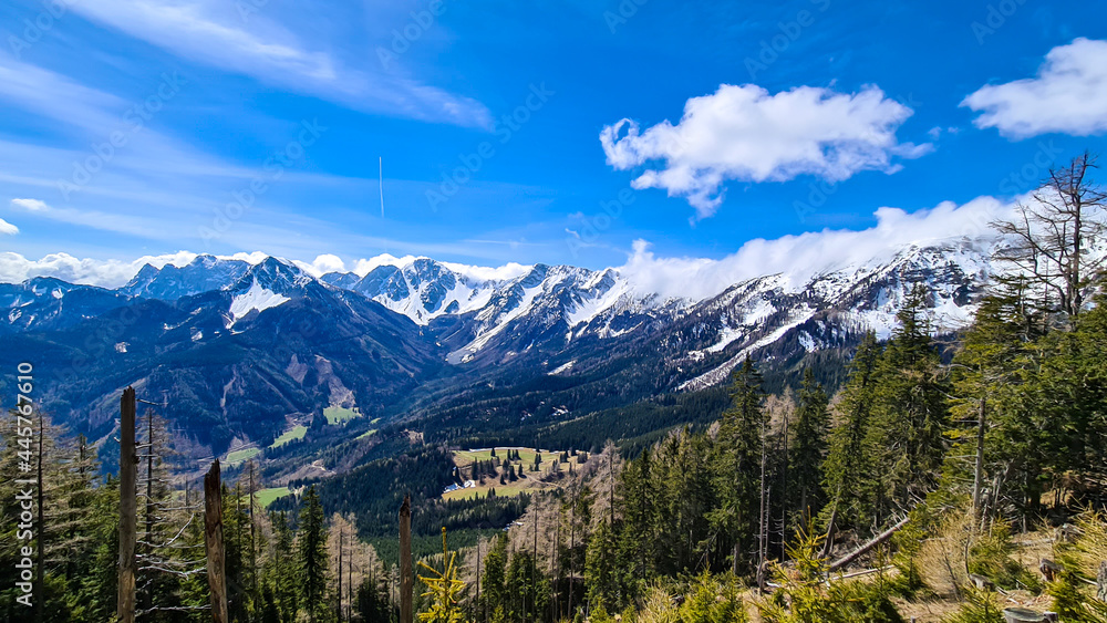 A panoramic view on Baeren Valley in Austrian Alps. The highest peaks in the chain are sonw-capped. Lush green pasture in front. A few trees on the slopes. Clear and sunny day. High mountain chains.