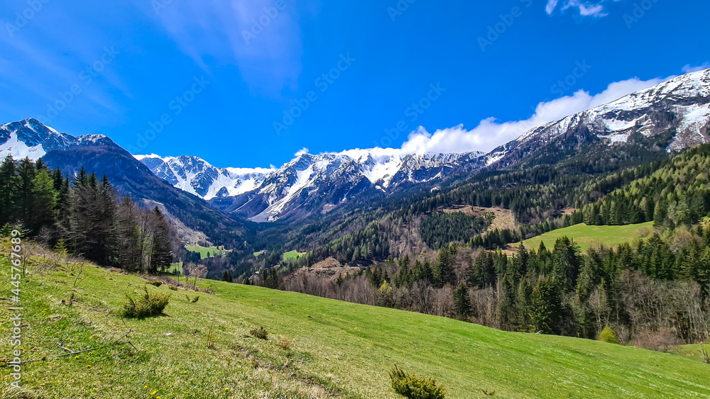 A panoramic view on Baeren Valley in Austrian Alps. The highest peaks in the chain are sonw-capped. Lush green pasture in front. A few trees on the slopes. Clear and sunny day. High mountain chains.
