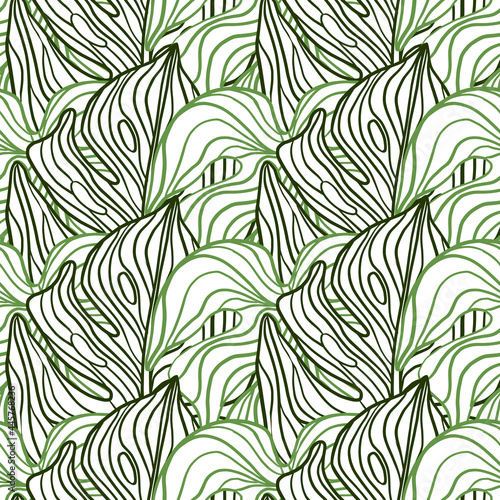 Hand drawn seamless pattern with green contoured big monstera leaves ornament. Abstract outline print.