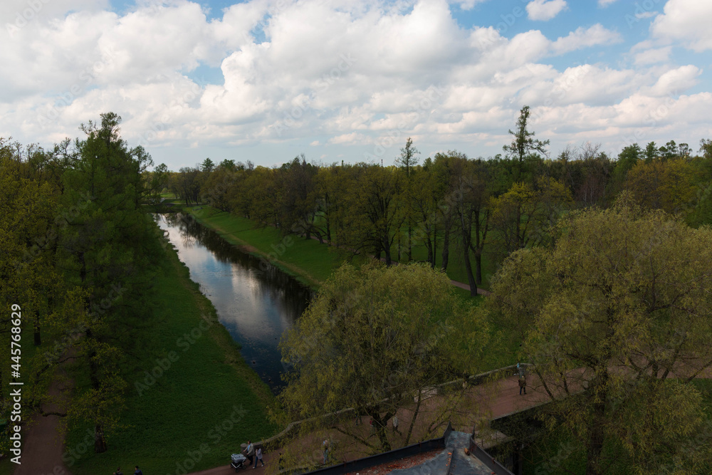 Fototapeta premium park in summer with lawns and a pond