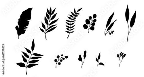 Leaves of tropical plants. Black silhouette. Vector illustration.
