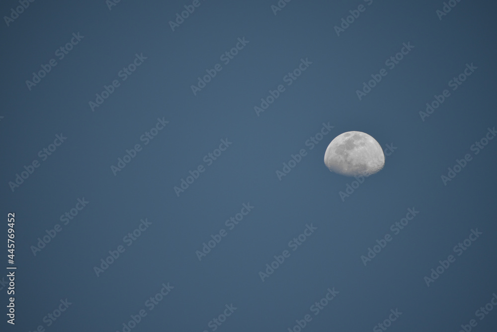 Beautiful half-moon day moon with blue background Beautiful half-moon day moon with blue background