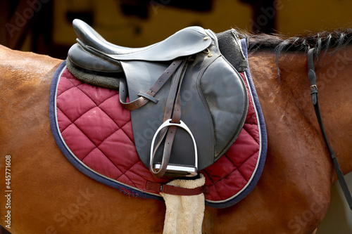 On the back of the horse, a brown leather saddle