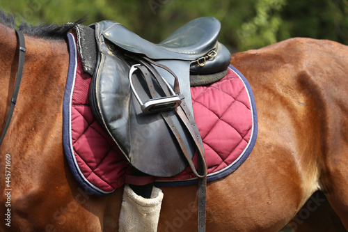 On the back of the horse, a brown leather saddle