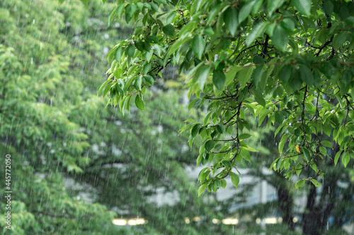 雨のイメージ