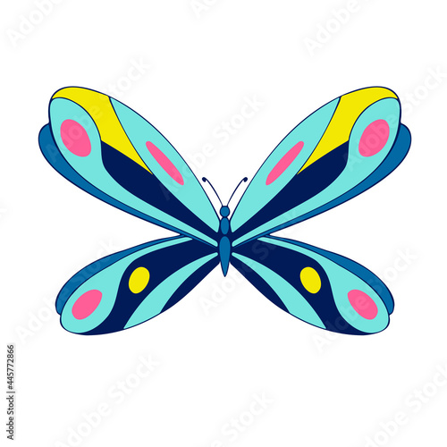 Elegant bright colored butterfly , vector illustration, icon. Butterfly with open wings, top view.