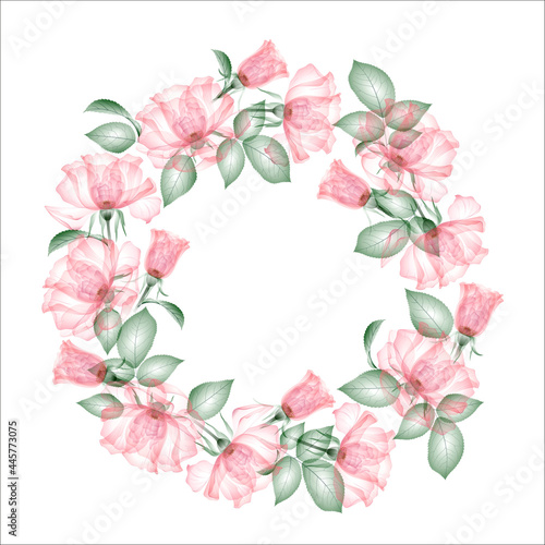 Round floral wreath. Circle arrangement of flowers  transparent romantic pink rose  with green leaves. Card template with place for text. Isolated illustration for wedding design  thank you card