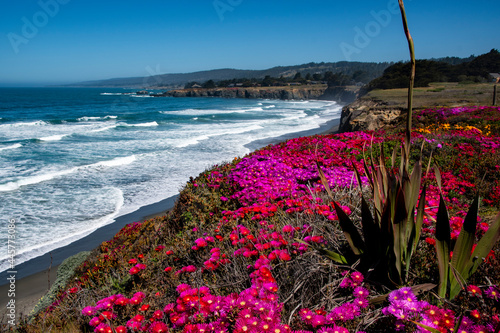 Views of the Pacific Coast at Sea Ranch, CA