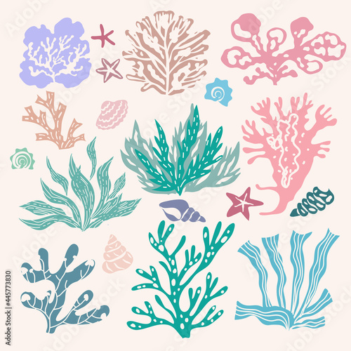 Seaweeds 4
