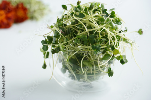 Microgreen in a glass