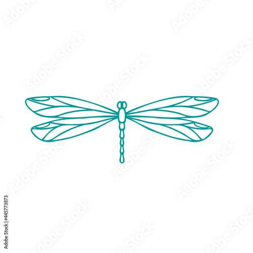 Dragonfly contour vector drawing. Insect dragonfly coloring book. EPS 10 Template