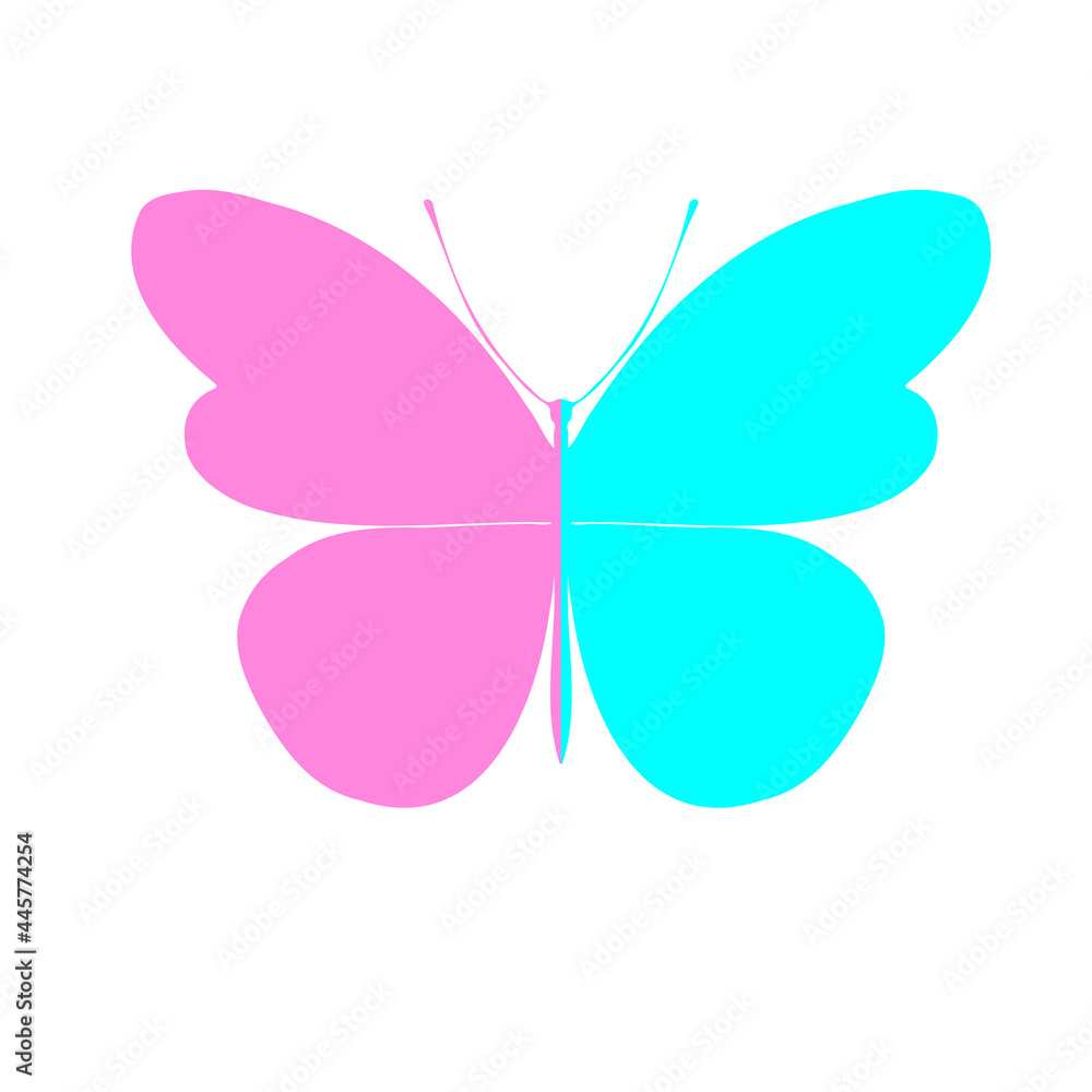 Two-color butterfly. Butterfly , vector illustration, icon.Template for printing , vector illustration, icon.