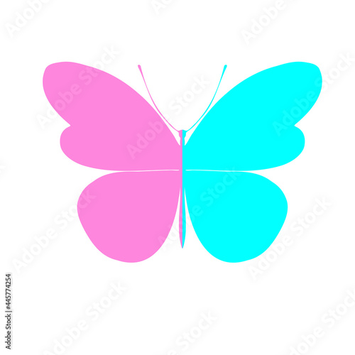 Two-color butterfly. Butterfly , vector illustration, icon.Template for printing , vector illustration, icon. © siaminka