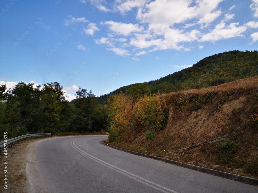 Naklejka premium Tara National Park in Serbia