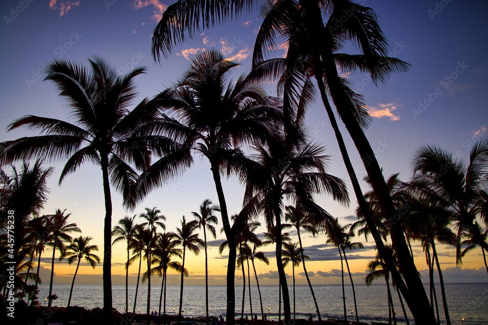 Obraz premium Beautiful sunset on the Big Island, Kohala Coast, HAWAII