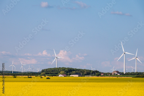 Canola and Wind Turbines and in Dufferin County