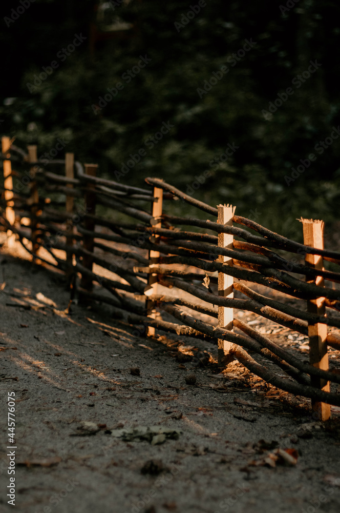 Fence in the forest Fence in the forest