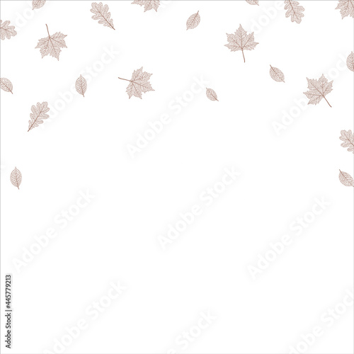 Maple tree leaf brown texture. Frame pattern. Autumn season theme background. Fall graphic illustration.