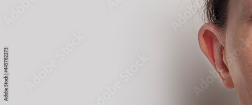 Fotografie Female paw protruding ear front view on a light background