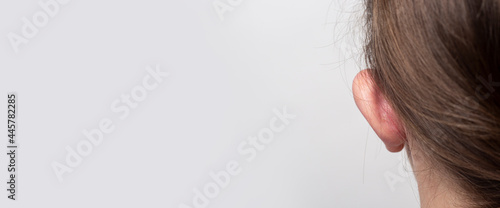 Obraz na płótnie Female lop-eared protruding ear rear view on a light background