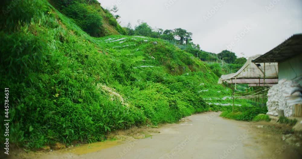 Farmland In The Cameron Highlands, Malaysia Farmland In The Cameron Highlands, Malaysia