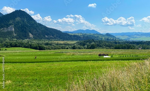 Landscape with trees and blue sky, Pieniny moutains, Poland