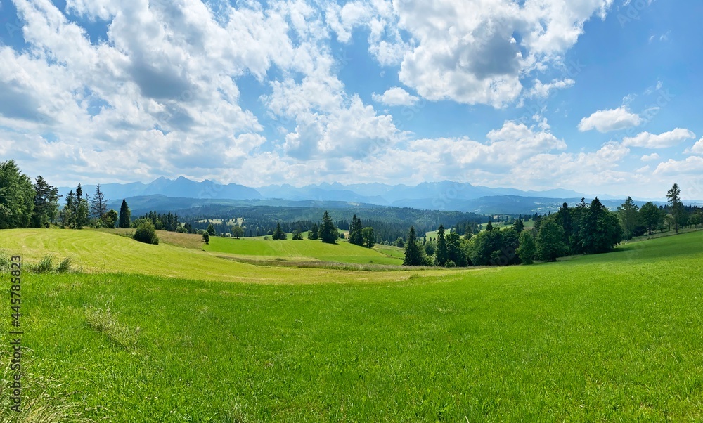 Landscape with grass and mountains,Polish Tatras, Poland Landscape with grass and mountains,Polish Tatras, Poland