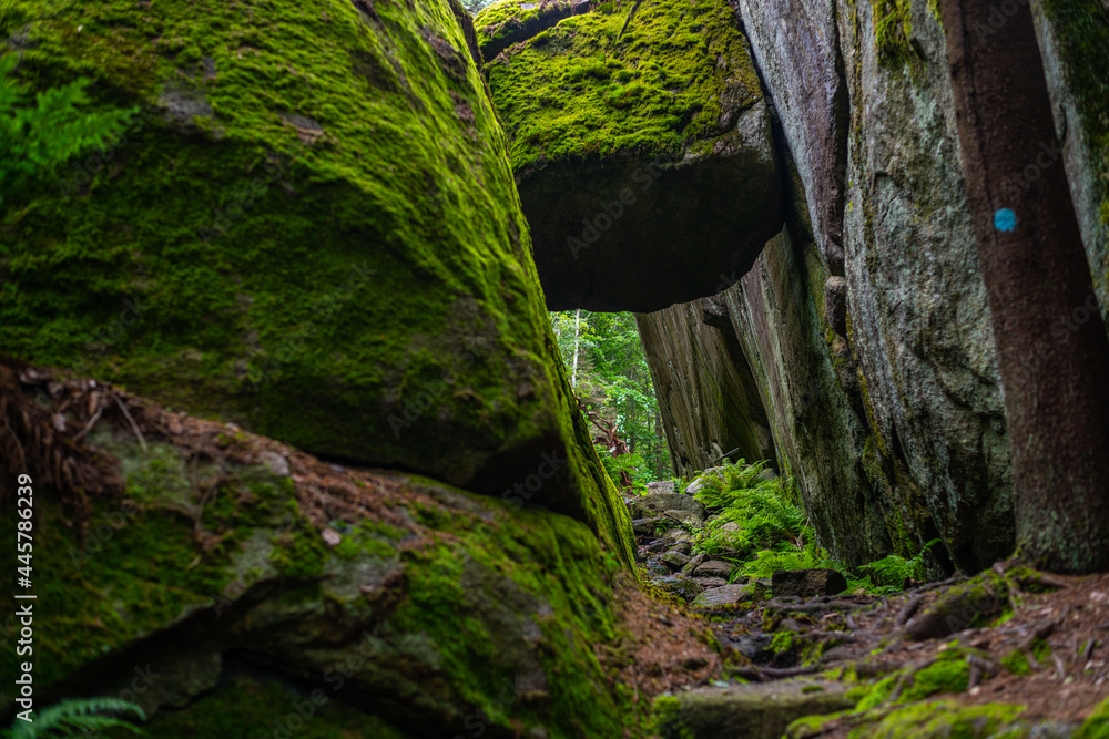 on a hiking trail in the middle of nature near Larvik in Norway
