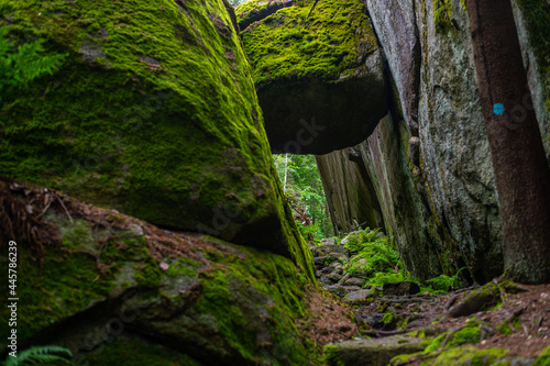 on a hiking trail in the middle of nature  near Larvik in Norway