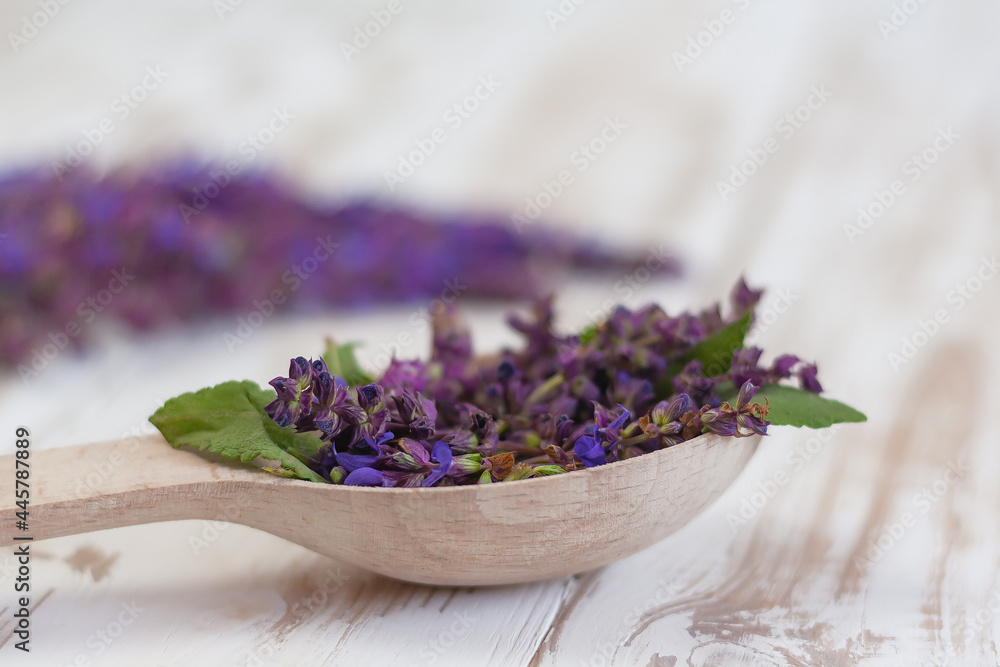 Fototapeta premium sage flowers in a wooden spoon close-up. the concept of homeopathy, aromatherapy, natural cosmetics.