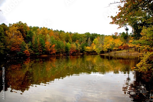 autumn trees reflected in water