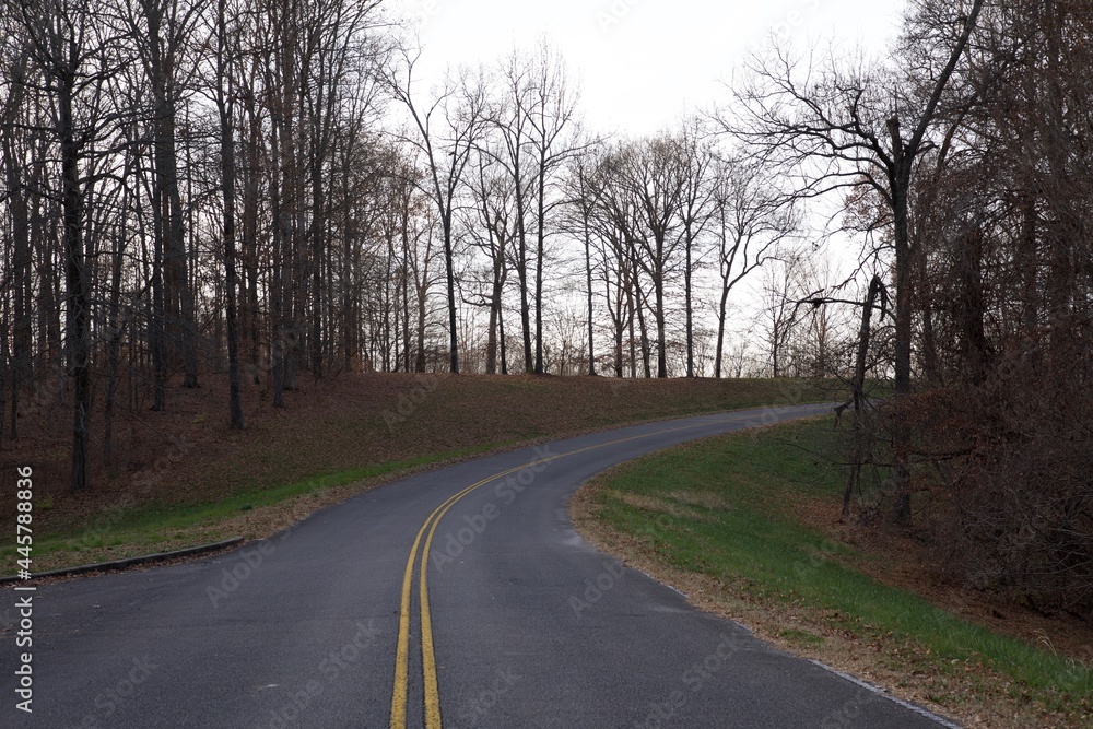 road in the woods