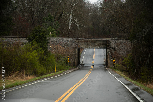 bridge in the woods
