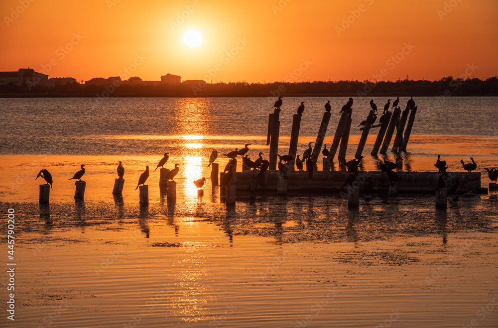 Beautiful red and orange sunset over the sea. The sun goes down over the sea. A flock of cormorants sits on a old sea pier in orange sunset light Beautiful red and orange sunset over the sea. The sun goes down over the sea. A flock of cormorants sits on a old sea pier in orange sunset light