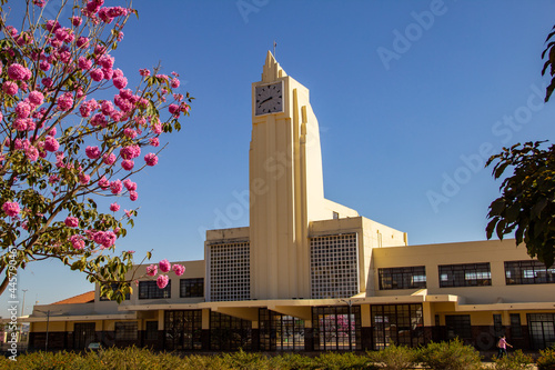 Museu Frei Confaloni com detalhes de flores de ipê rosa ao redor. Antiga estação ferroviária de Goiânia. Handroanthus heptaphyllus.