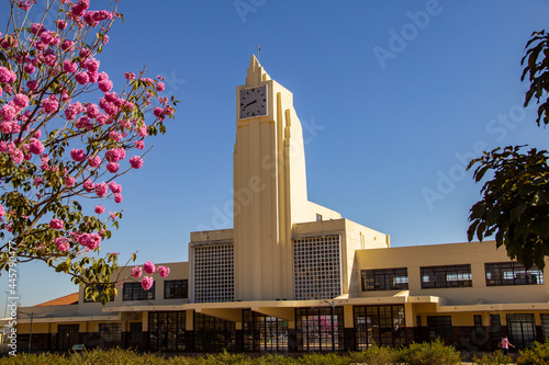 Museu Frei Confaloni com detalhes de flores de ipê rosa ao redor. Antiga estação ferroviária de Goiânia. Handroanthus heptaphyllus.