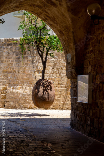 Suspended Orange Tree in the ancient streets of Jaffa or Yafo near Tel Aviv, Israel. art object.