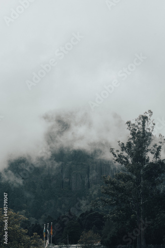 Lasy w mgle © Tomasz