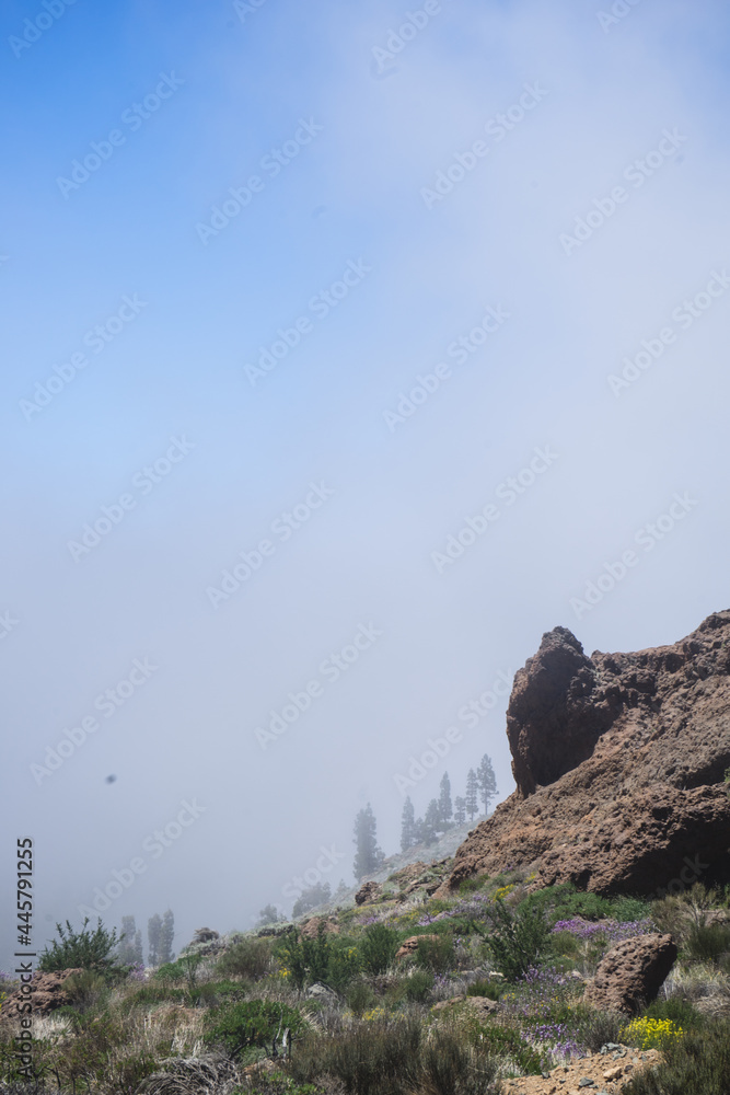 Naklejka premium Górska droga na Teneryfie we mgle