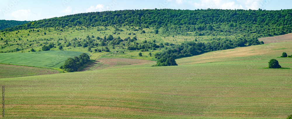 Beautiful panorama of agricultural fields and hills on a summer day in Ukraine