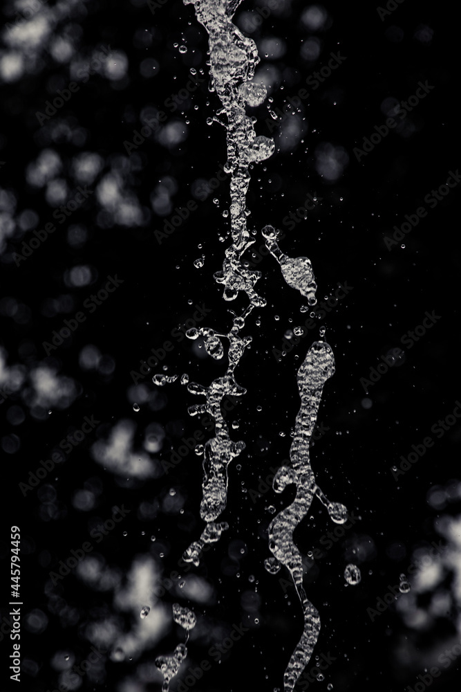 Water drops macro on dark background Water drops macro on dark background
